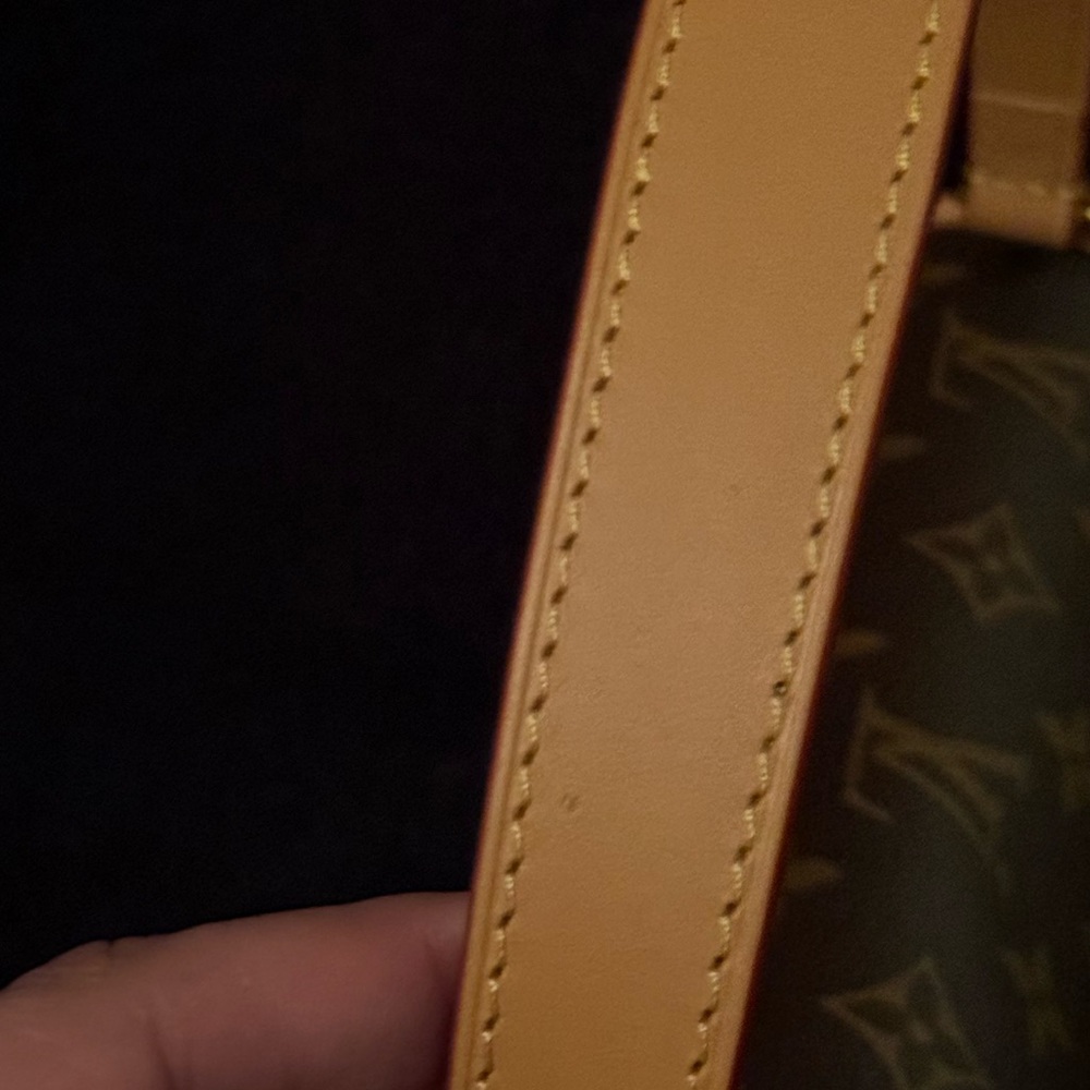 Louis Vuitton Monogram Diane - Picture 14 of 16
